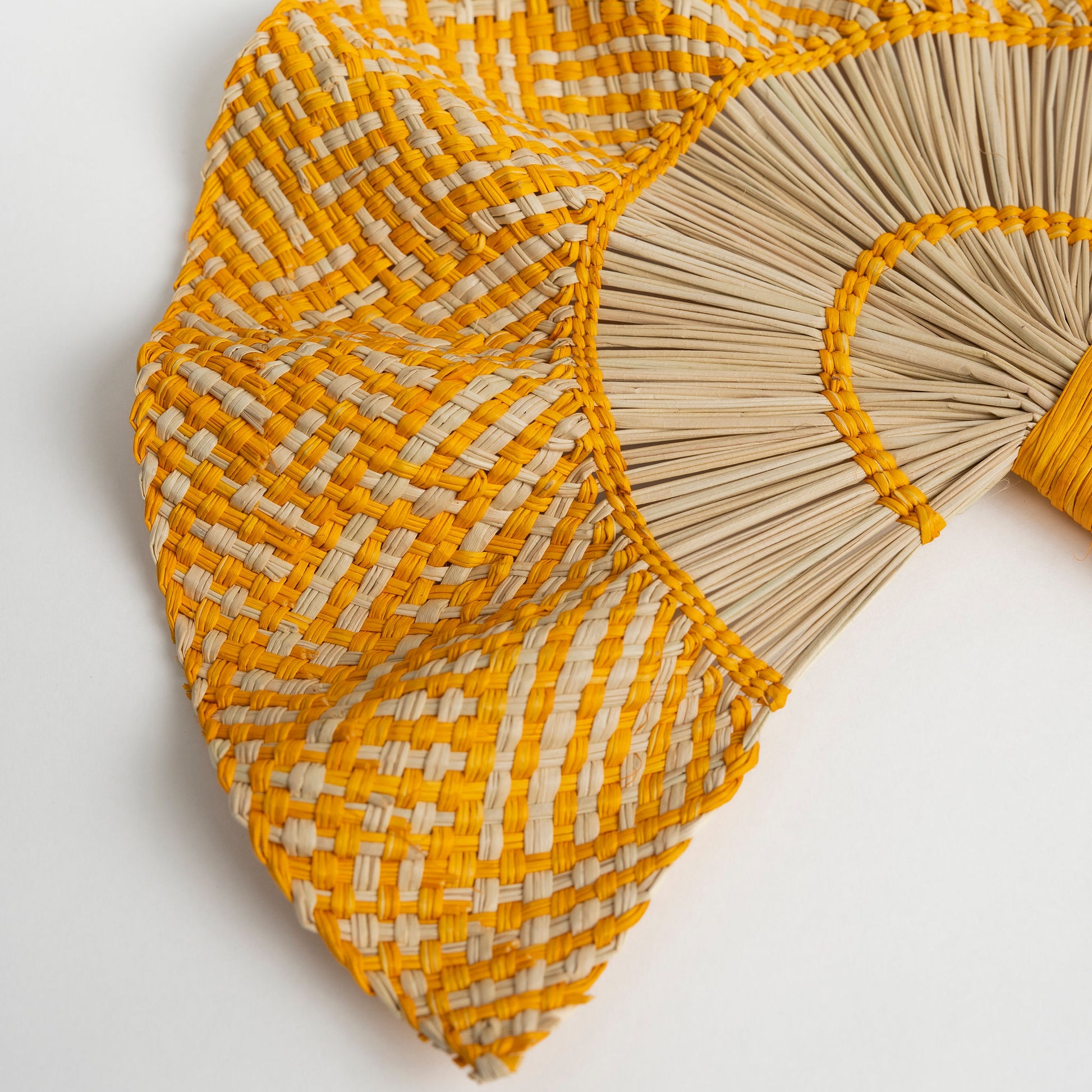 Abanico Guayacán Amarillo